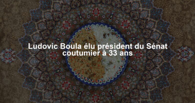 Ludovic Boula élu président du Sénat coutumier à 33 ans