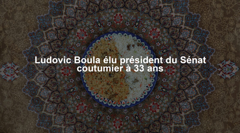 Ludovic Boula élu président du Sénat coutumier à 33 ans