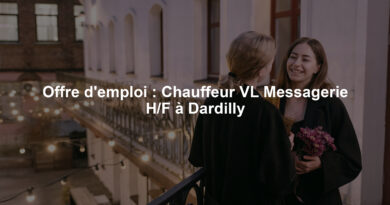 Offre d'emploi : Chauffeur VL Messagerie H/F à Dardilly