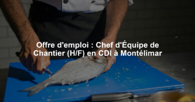 Offre d'emploi : Chef d'Équipe de Chantier (H/F) en CDI à Montélimar
