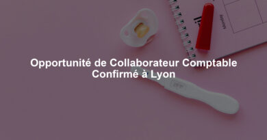 Opportunité de Collaborateur Comptable Confirmé à Lyon
