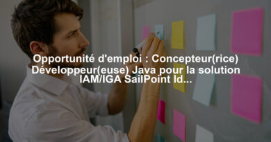 Opportunité d'emploi : Concepteur(rice) Développeur(euse) Java pour la solution IAM/IGA SailPoint IdentityIQ