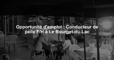 Opportunité d'emploi : Conducteur de pelle F/H à Le Bourget-du-Lac