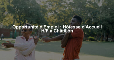 Opportunité d'Emploi : Hôtesse d'Accueil H/F à Châtillon