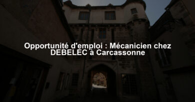 Opportunité d'emploi : Mécanicien chez DEBELEC à Carcassonne