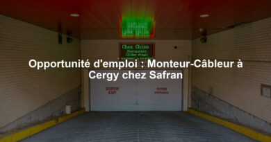 Opportunité d'emploi : Monteur-Câbleur à Cergy chez Safran