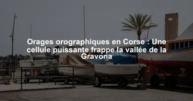 Orages orographiques en Corse : Une cellule puissante frappe la vallée de la Gravona