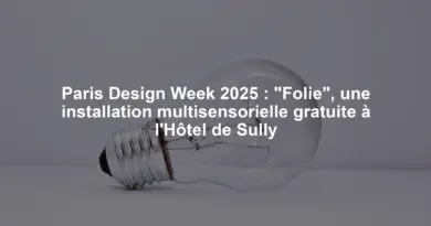 Paris Design Week 2025 : "Folie", une installation multisensorielle gratuite à l'Hôtel de Sully