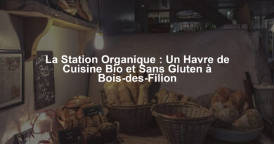 La Station Organique : Un Havre de Cuisine Bio et Sans Gluten à Bois-des-Filion
