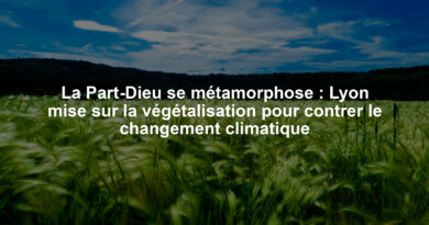 La Part-Dieu se métamorphose : Lyon mise sur la végétalisation pour contrer le changement climatique