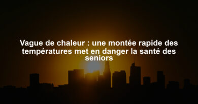 Vague de chaleur : une montée rapide des températures met en danger la santé des seniors