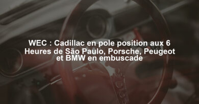 WEC : Cadillac en pole position aux 6 Heures de São Paulo, Porsche, Peugeot et BMW en embuscade