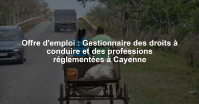 Offre d'emploi : Gestionnaire des droits à conduire et des professions réglementées à Cayenne
