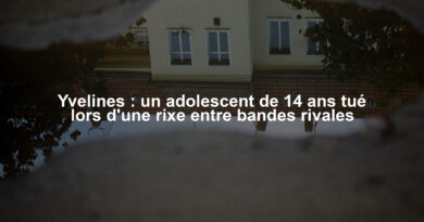 Yvelines : un adolescent de 14 ans tué lors d'une rixe entre bandes rivales