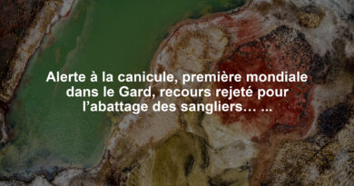 Alerte à la canicule, première mondiale dans le Gard, recours rejeté pour l’abattage des sangliers… l’essentiel de l’actu en région