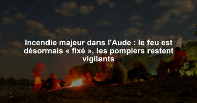 Incendie majeur dans l'Aude : le feu est désormais « fixé », les pompiers restent vigilants