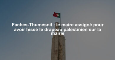 Faches-Thumesnil : le maire assigné pour avoir hissé le drapeau palestinien sur la mairie