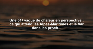 Une 51ᵉ vague de chaleur en perspective : ce qui attend les Alpes-Maritimes et le Var dans les prochains jours