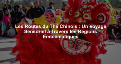 Les Routes du Thé Chinois : Un Voyage Sensoriel à Travers les Régions Emblématiques