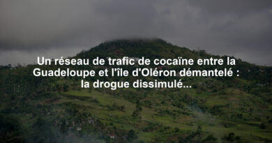 Un réseau de trafic de cocaïne entre la Guadeloupe et l'île d'Oléron démantelé : la drogue dissimulée dans des bouteilles de rhum
