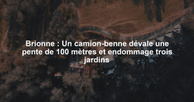Brionne : Un camion-benne dévale une pente de 100 mètres et endommage trois jardins