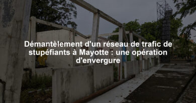 Démantèlement d'un réseau de trafic de stupéfiants à Mayotte : une opération d'envergure