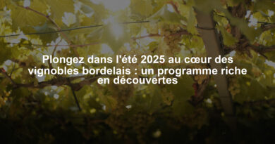 Plongez dans l'été 2025 au cœur des vignobles bordelais : un programme riche en découvertes