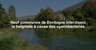 Neuf communes de Dordogne interdisent la baignade à cause des cyanobactéries