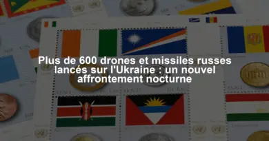 Plus de 600 drones et missiles russes lancés sur l'Ukraine : un nouvel affrontement nocturne