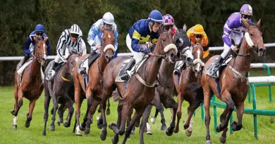 pronostics hippique 01/08/2025