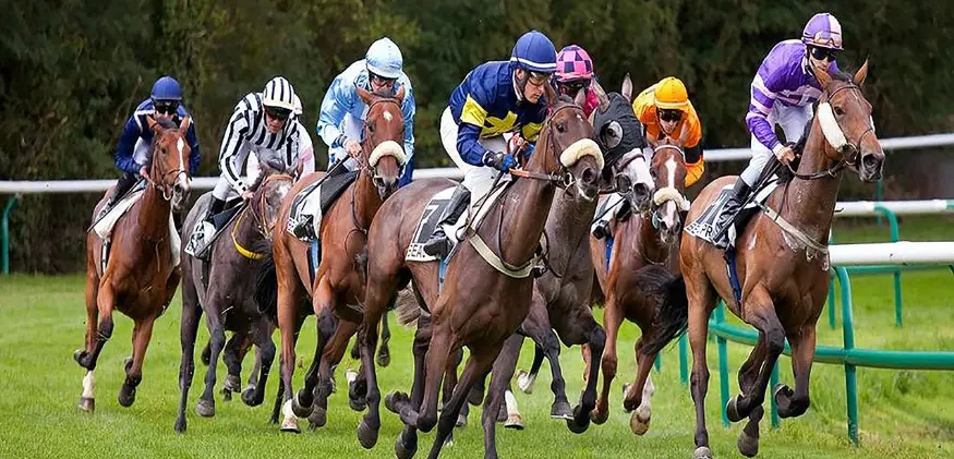 pronostics hippique 01/08/2025