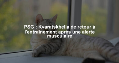 Image illustrant le contenu de l’article.