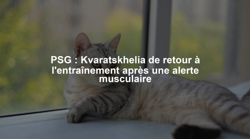 Image illustrant le contenu de l’article.