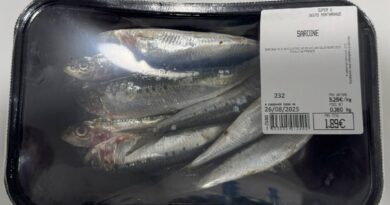 sardine