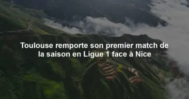 Toulouse remporte son premier match de la saison en Ligue 1 face à Nice