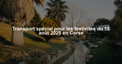 Transport spécial pour les festivités du 15 août 2025 en Corse