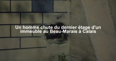 Image illustrant le contenu de l’article.