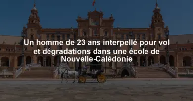 Un homme de 23 ans interpellé pour vol et dégradations dans une école de Nouvelle-Calédonie