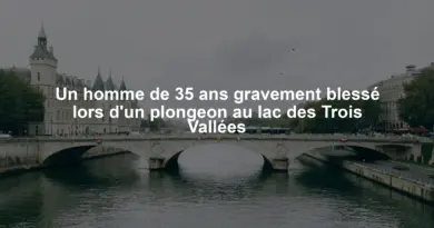 Un homme de 35 ans gravement blessé lors d'un plongeon au lac des Trois Vallées