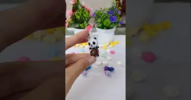 #unboxing #candying #howtomakechocolateathome