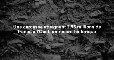 Une carcasse atteignant 2,95 millions de francs à l'Ocef, un record historique