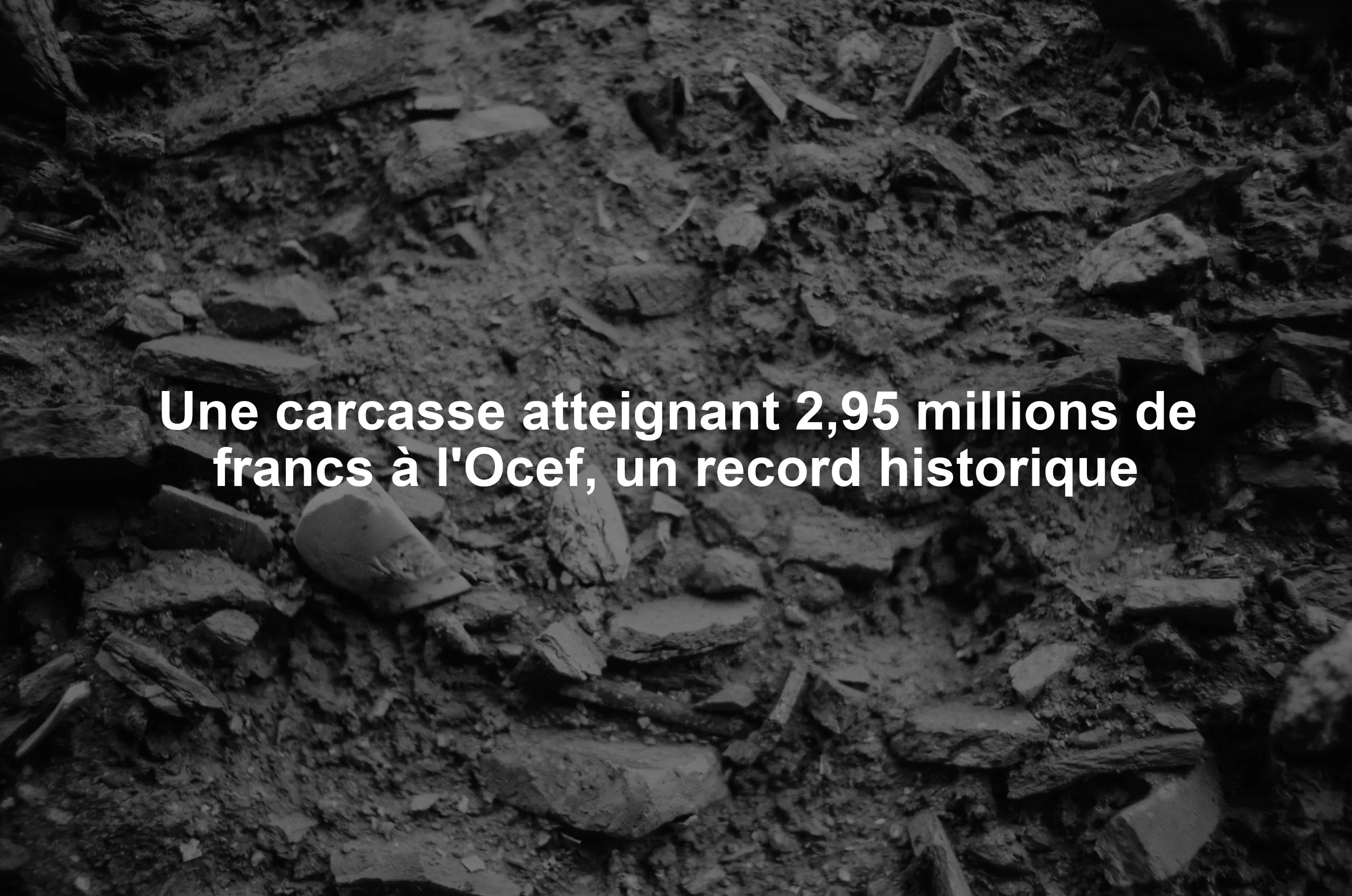 Une carcasse atteignant 2,95 millions de francs à l'Ocef, un record historique