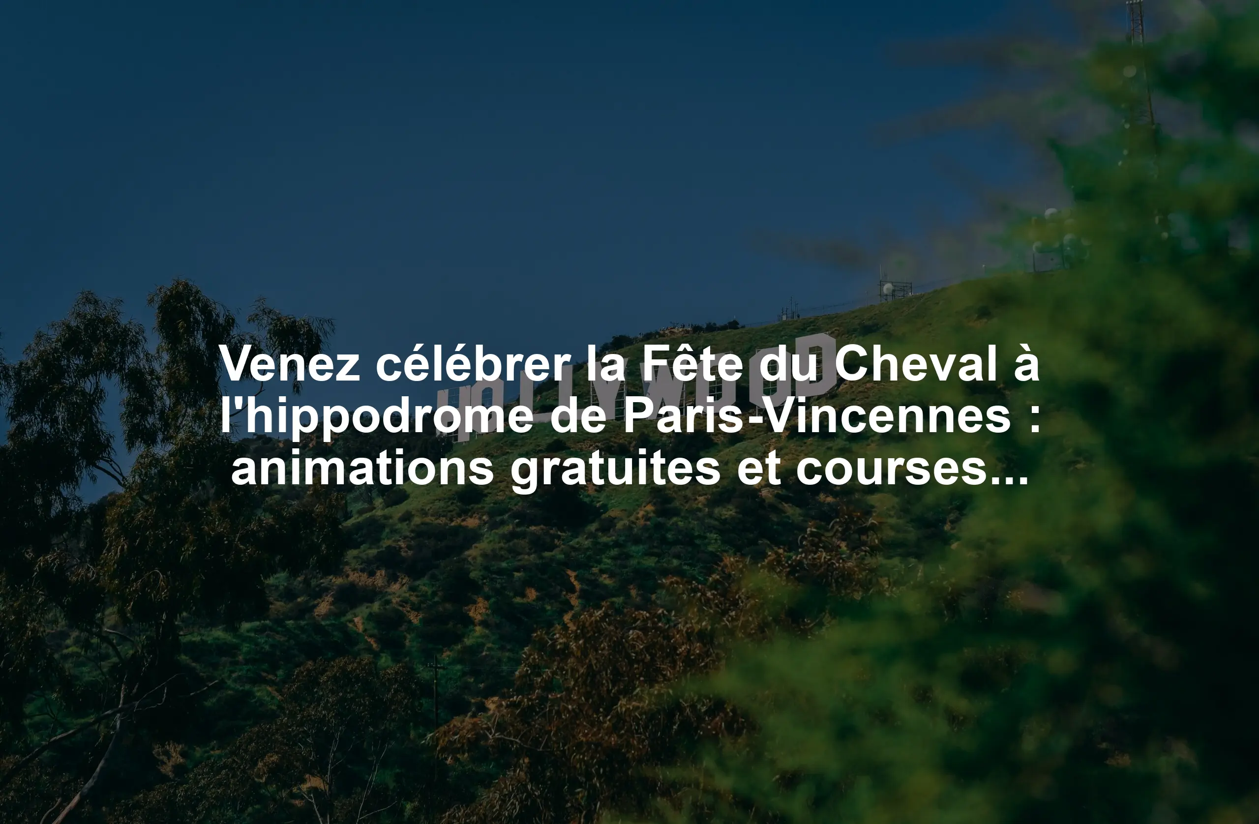 Venez célébrer la Fête du Cheval à l'hippodrome de Paris-Vincennes : animations gratuites et courses de trot au programme