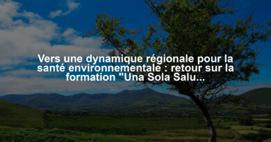 Vers une dynamique régionale pour la santé environnementale : retour sur la formation "Una Sola Saluta"