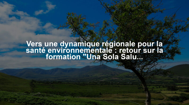Vers une dynamique régionale pour la santé environnementale : retour sur la formation "Una Sola Saluta"