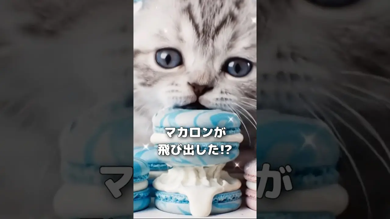 マカロンが飛び出した!? 🐾 - ASMR