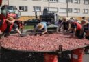 132 kilos de viande crue : le record du monde de la plus grande entrecôte battu à Évron ce week-end  - ici