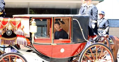Le Japon célèbre la majorité du prince Hisahito, seul jeune héritier masculin au trône