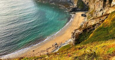 Corse, Ajaccio, Bastia, mountain, beach, sea, cliff, village, maquis, landscape