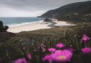 Corse, Ajaccio, Bastia, mountain, beach, sea, cliff, village, maquis, landscape